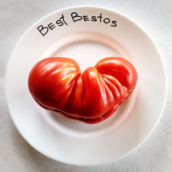 Καλύτερα bestos