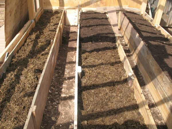 Bulk warm beds for cucumbers