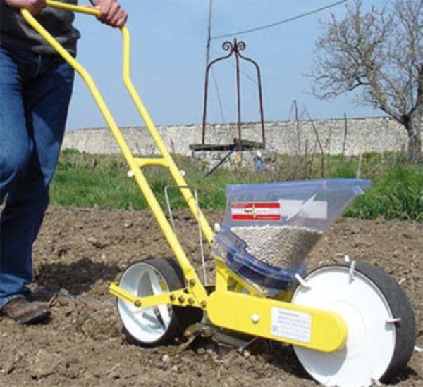 Ръчно нарязан морков