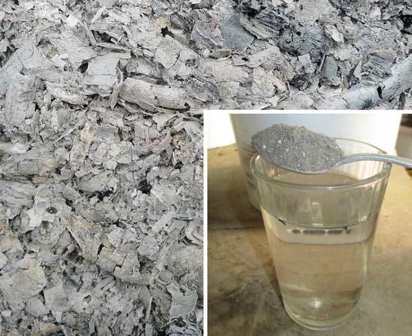 Kül çözümü - biber yaprak bitlerine karşı mücadelede halk ilaçları