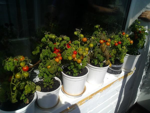 μπαλκόνι θαύμα στο σπίτι