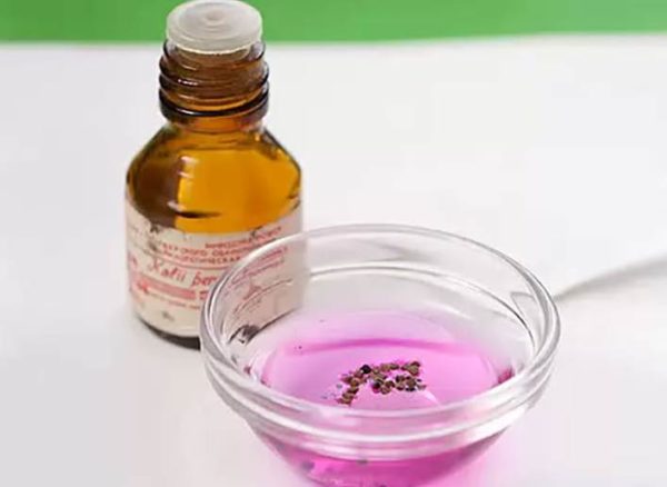 изсушаване на семена в калиев перманганат