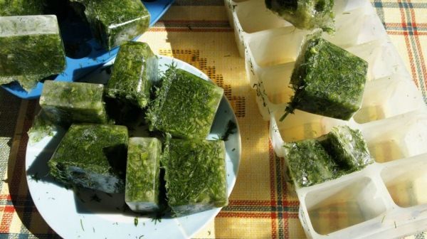 Gefrorener Dill in Eiswürfeln