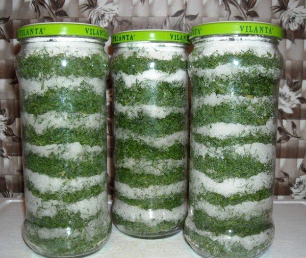 Eingelegter Dill