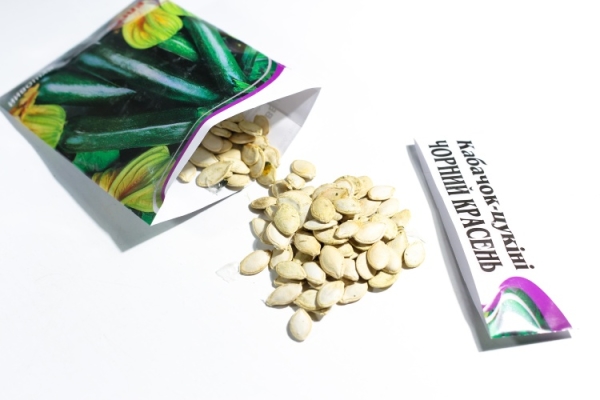 Before planting, the seeds are placed in a damp cloth until they hatch.