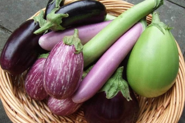 Επιλέξτε ελαφρώς ανενόχλητα, λεία και λαμπερά φρούτα με λεπτό δέρμα