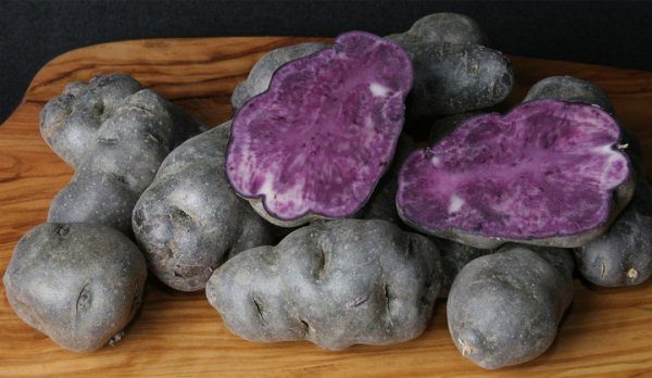 Les variétés de pomme de terre à la violette comprennent celles qui sont intensément colorées non seulement par la croûte, mais également par la pulpe.