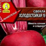 Les variétés les plus populaires de betterave