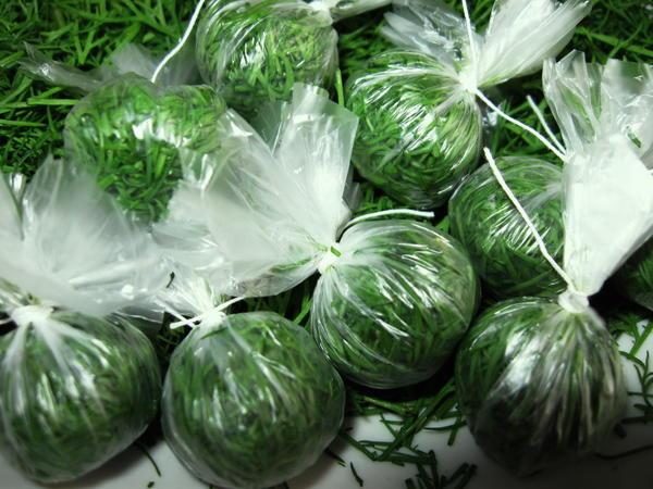 Dill für den Winter einfrieren