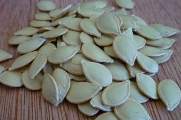 Σπόροι πριν από τη φύτευση παρασκευάζονται: εμποτισμένο με νερό, τυλιγμένο σε ένα πυκνό, υγρό πανί για τρεις ημέρες