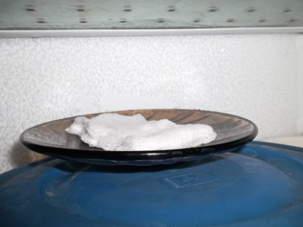 Πριν από τη φύτευση των σπόρων της τομάτας Hospitable σκληρυνθεί