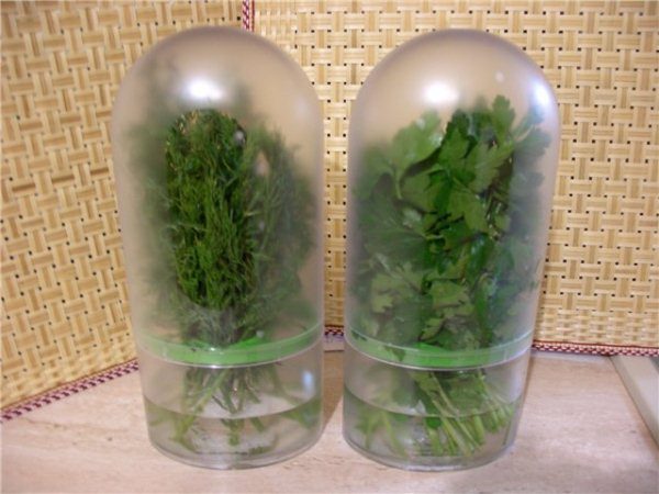 Grüne Lagerung in Kunststoffbehältern