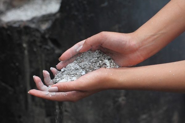 Wood ash - the most popular organic fertilizer