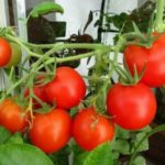 F1 Μπαλκόνι κόκκινο