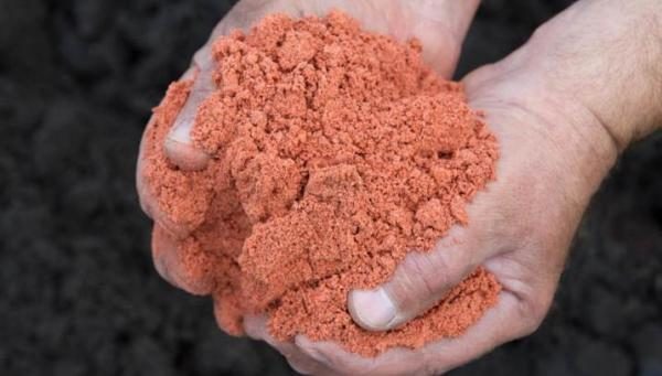 Άλας καλίου