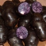 Pommes de terre truffes violettes