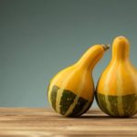 Variétés de petite citrouille