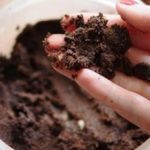 Coffee grounds are excellent fertilizer.