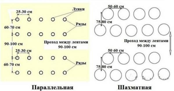 μοτίβο προσγείωσης