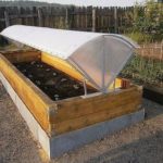 الدفيئة السائبة