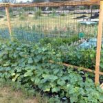 U-образна решетка