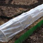 فيلم نفق الدفيئة