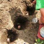 Atterrir dans le trou