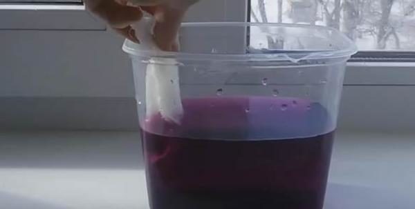 Seeds are soaked for 15-20 minutes in a weak solution of potassium permanganate
