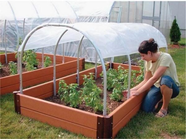 يجب أن يكون الدفيئة في مكان مضاء.