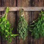 Trocknen von Grüns in Trauben