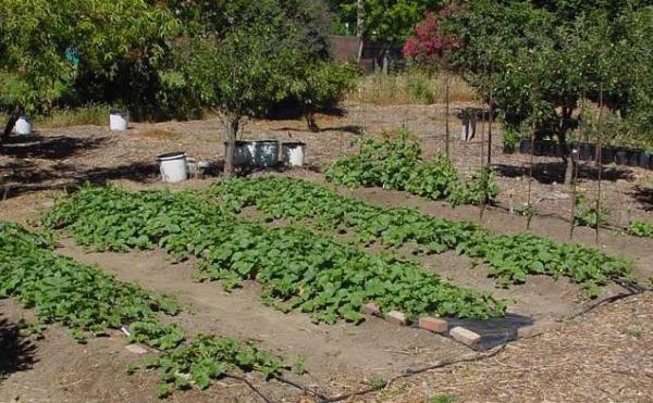 Scegli un sito per l'atterraggio