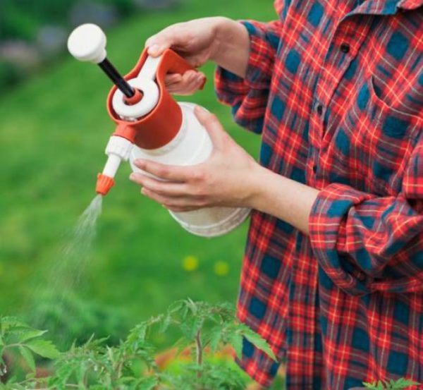 Protecting the harvest