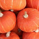 Variétés de petite citrouille