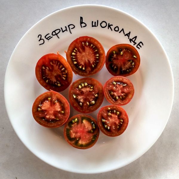 Chocolate Marshmallow