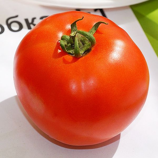 Масата на плодовете от една категория е около 180-240 грама