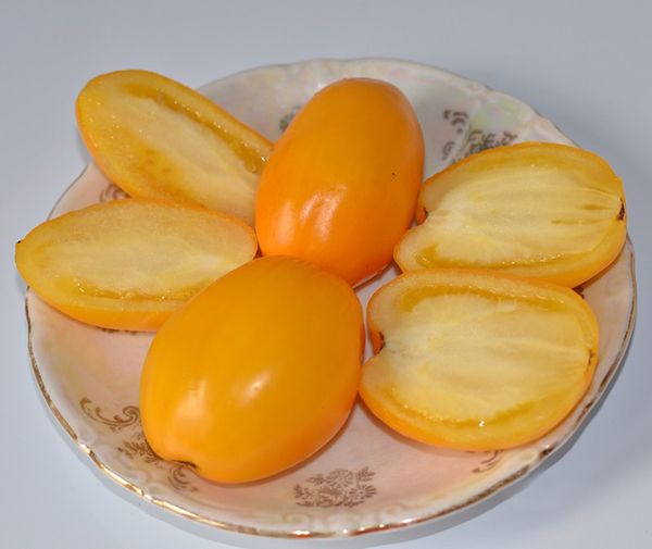 Κίτρινο Buyan