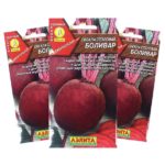 Популярно късно цвекло