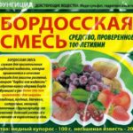 Maladies et leur prévention