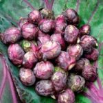 Грейт гривна