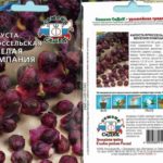 Весела компания