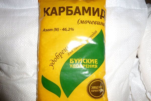 Зеленчуците трябва да се оплодят с урея и калиев хлорид