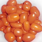 The most popular varieties of tomato