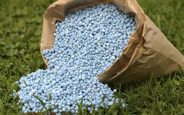 مزيج من الأسمدة المعدنية والمواد العضوية يمكن أن تزيد من الغلة