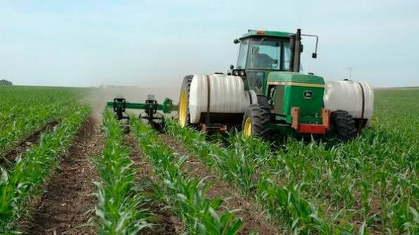 ورقة تضميد أعلى من الذرة مع الكرباميد