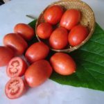 The most popular varieties of tomato