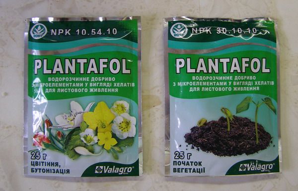 Ως τροφή μπορείτε να χρησιμοποιήσετε το σύνθετο λίπασμα Plantafol