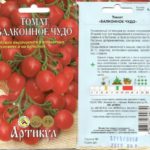 Μπαλκόνια θαύμα