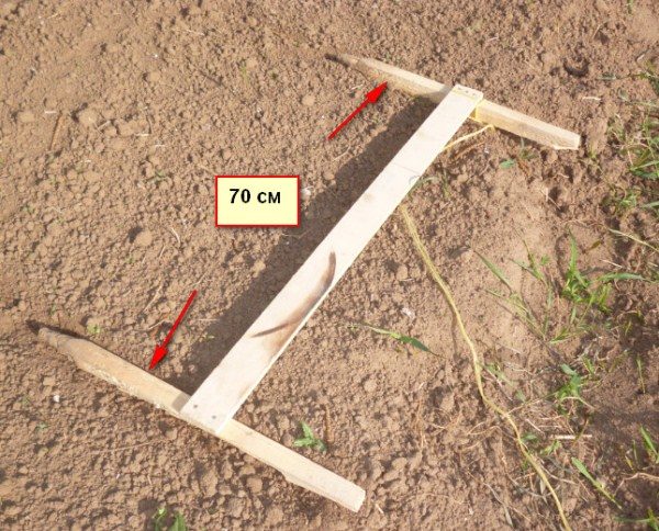 Scriber pour planter des pommes de terre