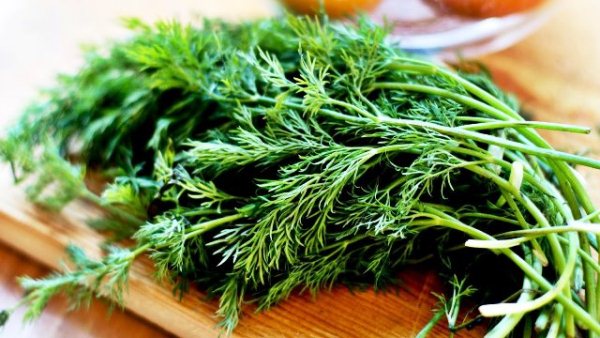  Dill for the winter