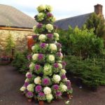 Засаждане на декоративно зеле